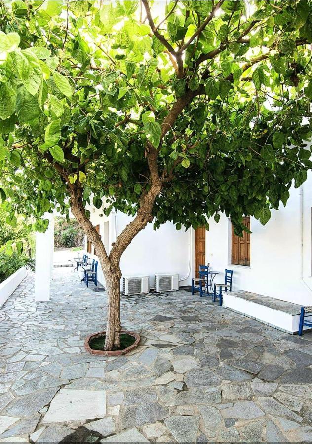 Mavrikou Helen Apartments Skyros Luaran gambar