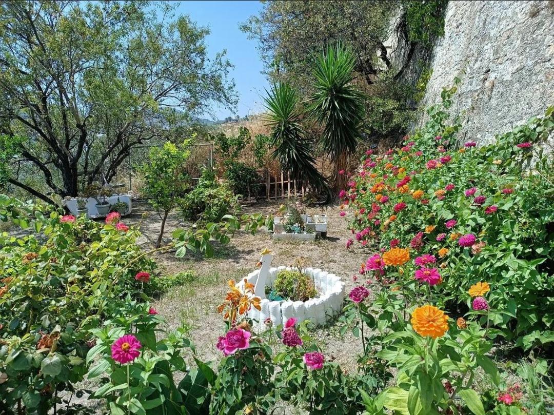 Mavrikou Helen Apartments Skyros Luaran gambar